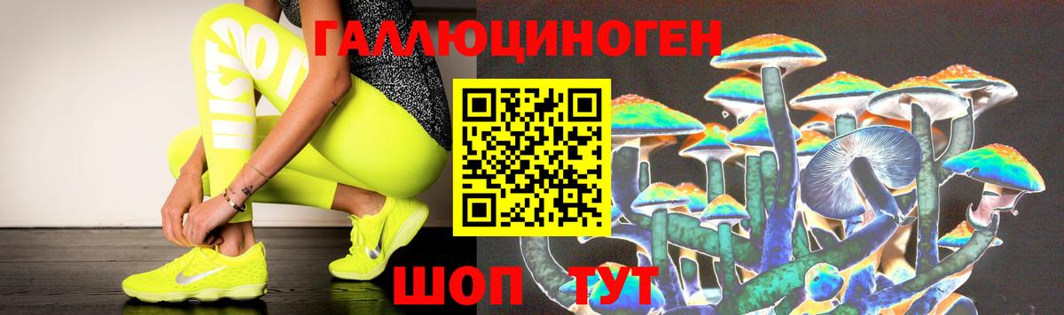Бузулук  Псилоцибиновые грибы MAGIC MUSHROOMS  Галлюциногенные грибы Psilocybe  Вход с VPN 